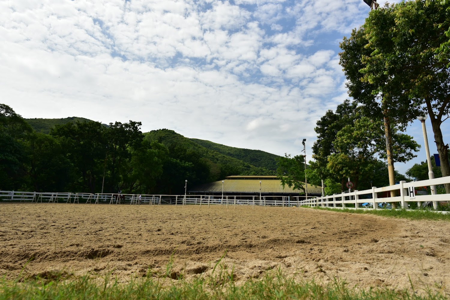 International Riding Centre photo 2