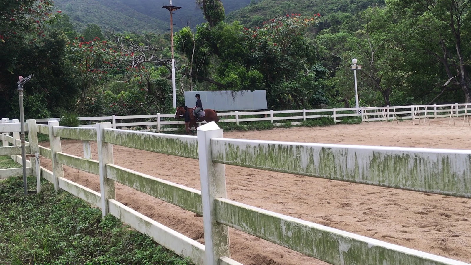 International Riding Centre photo 3