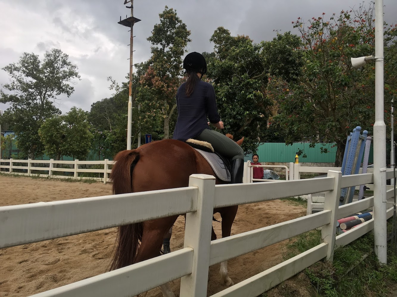 International Riding Centre photo 4