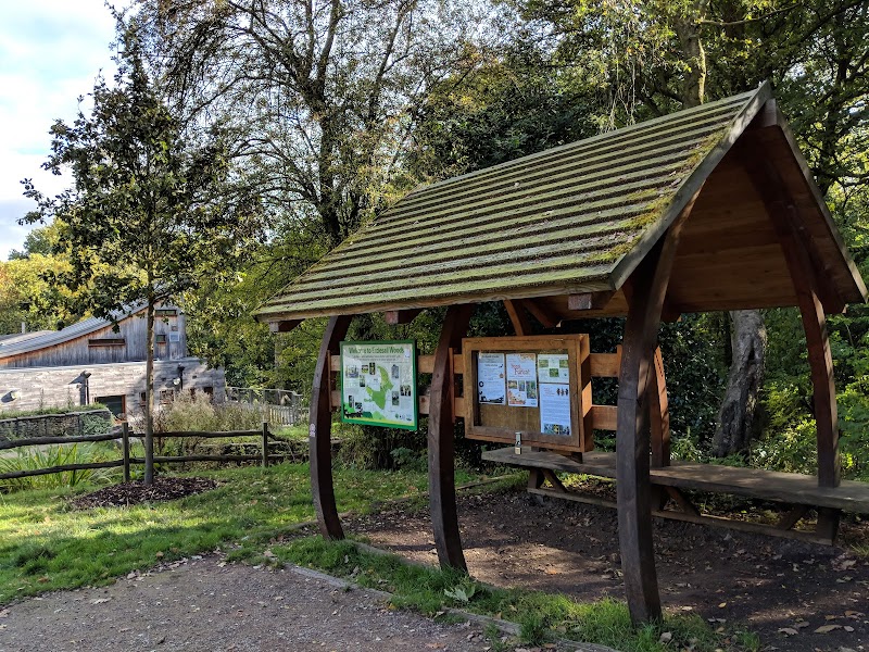 J G Graves Woodland Discovery Centre photo 3