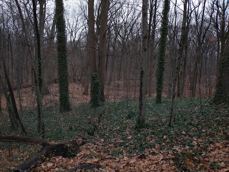 Jackson Pond Playground photo 3