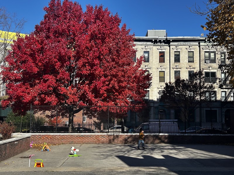 James Forten Playground photo 2