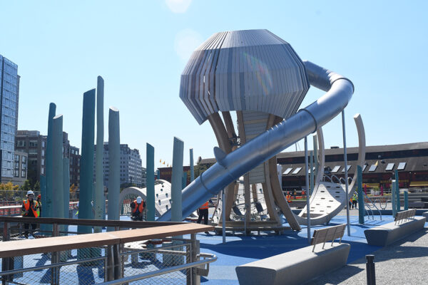 Jellyfish Playground