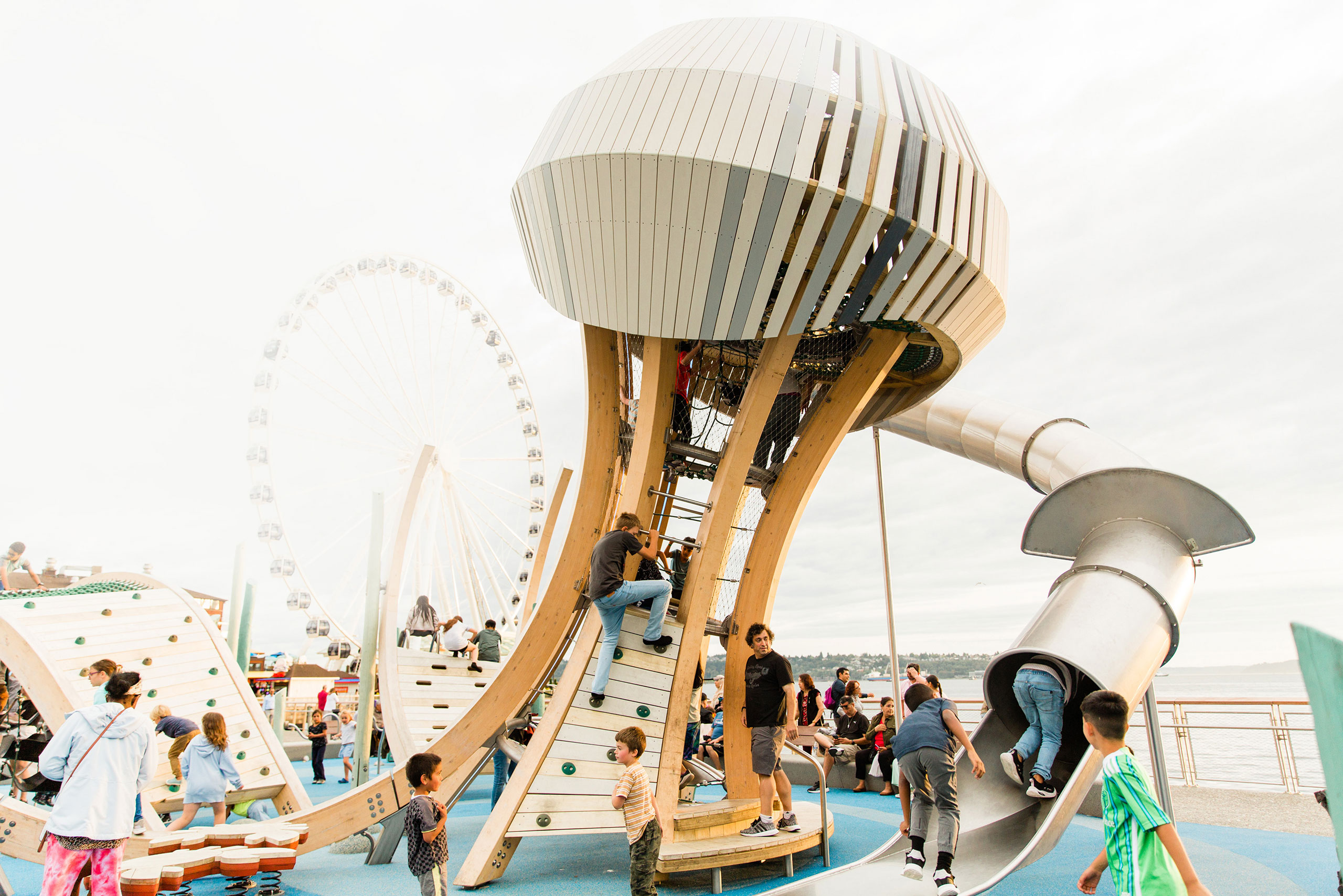Jellyfish Playground photo 2