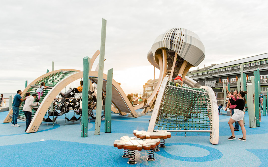 Jellyfish Playground photo 3