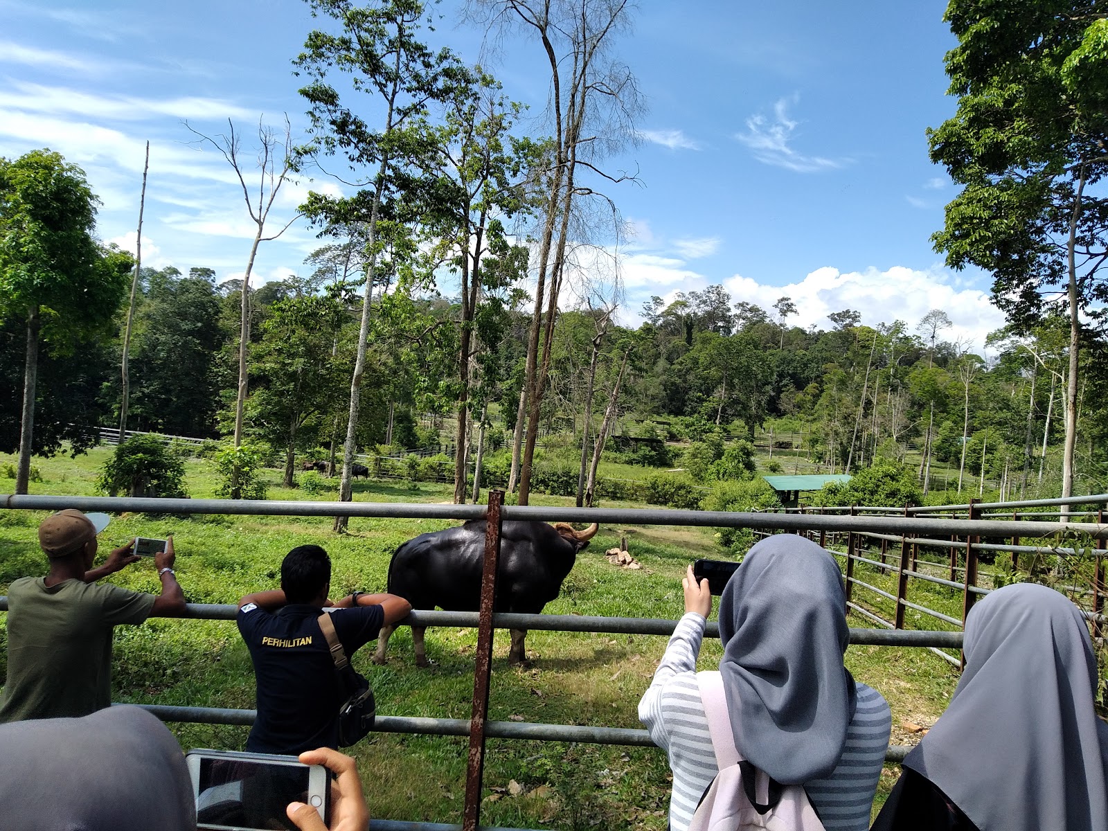 Jenderak Selatan Wildlife Conservation Centre photo 3