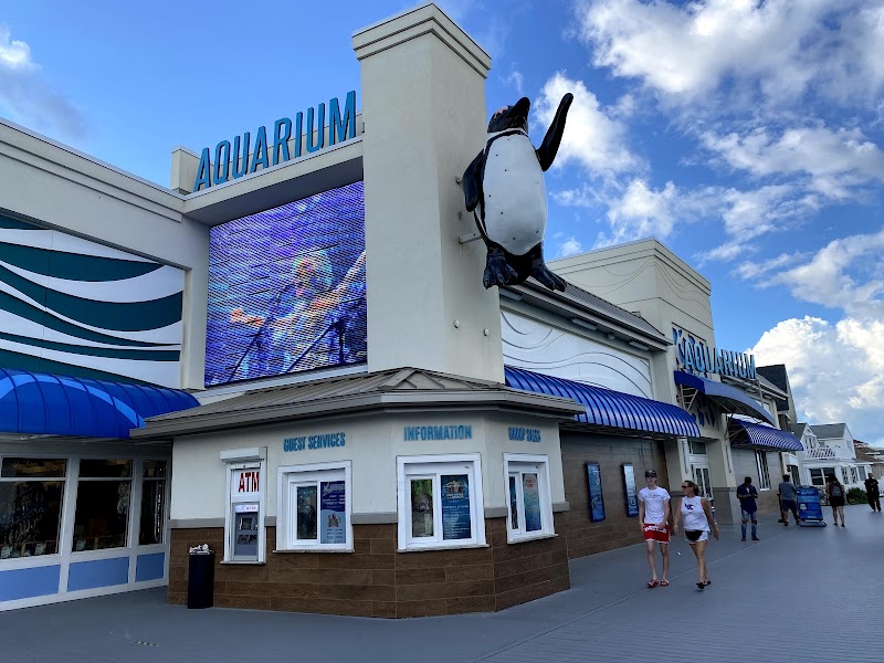 Jenkinson's Aquarium