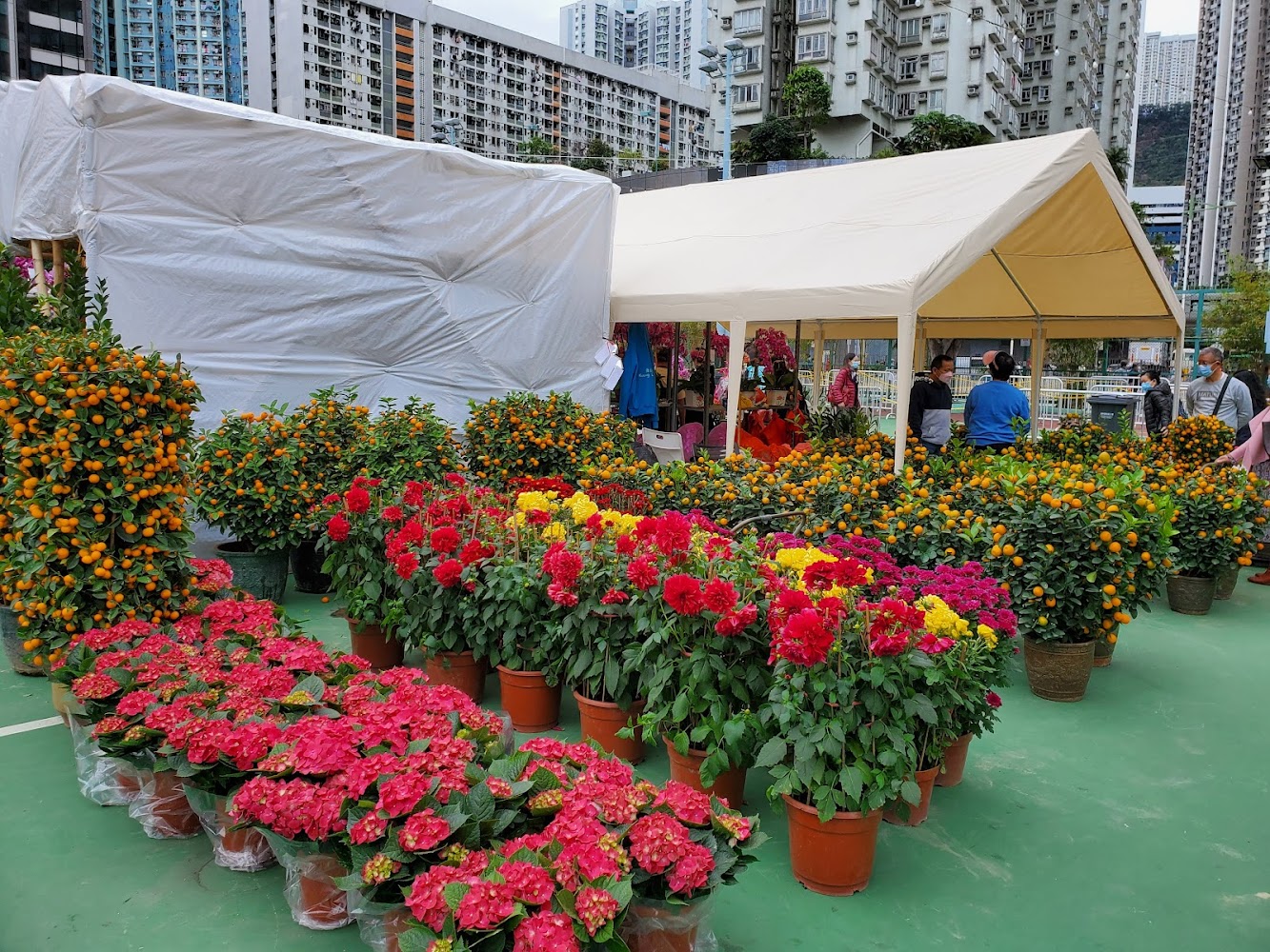 Jockey Club Hing Shing Road Playground photo 4