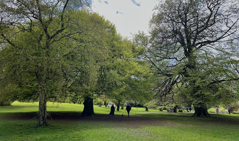 John Leigh Park photo 2