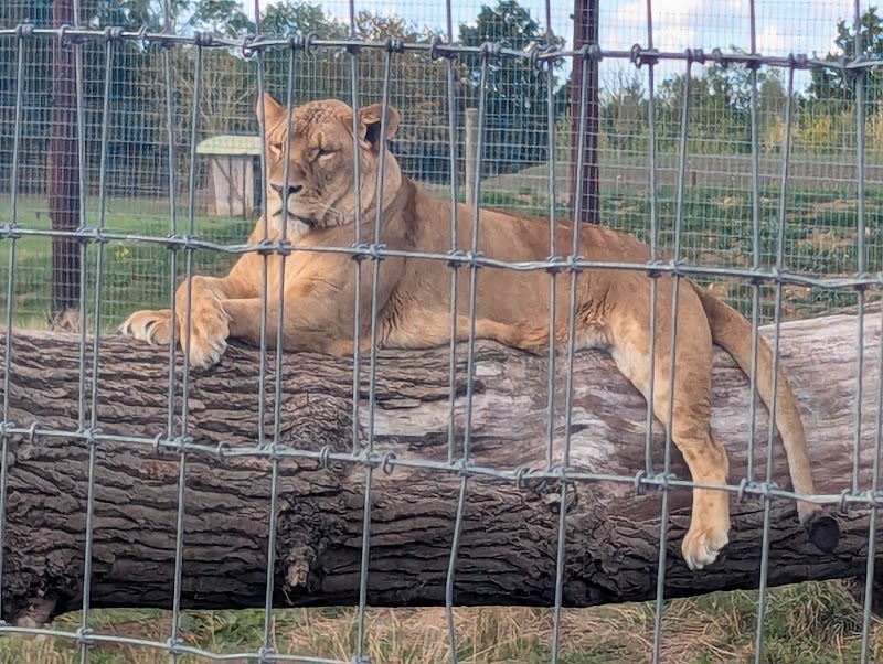 Photo of Johnsons Zoo in West Midlands