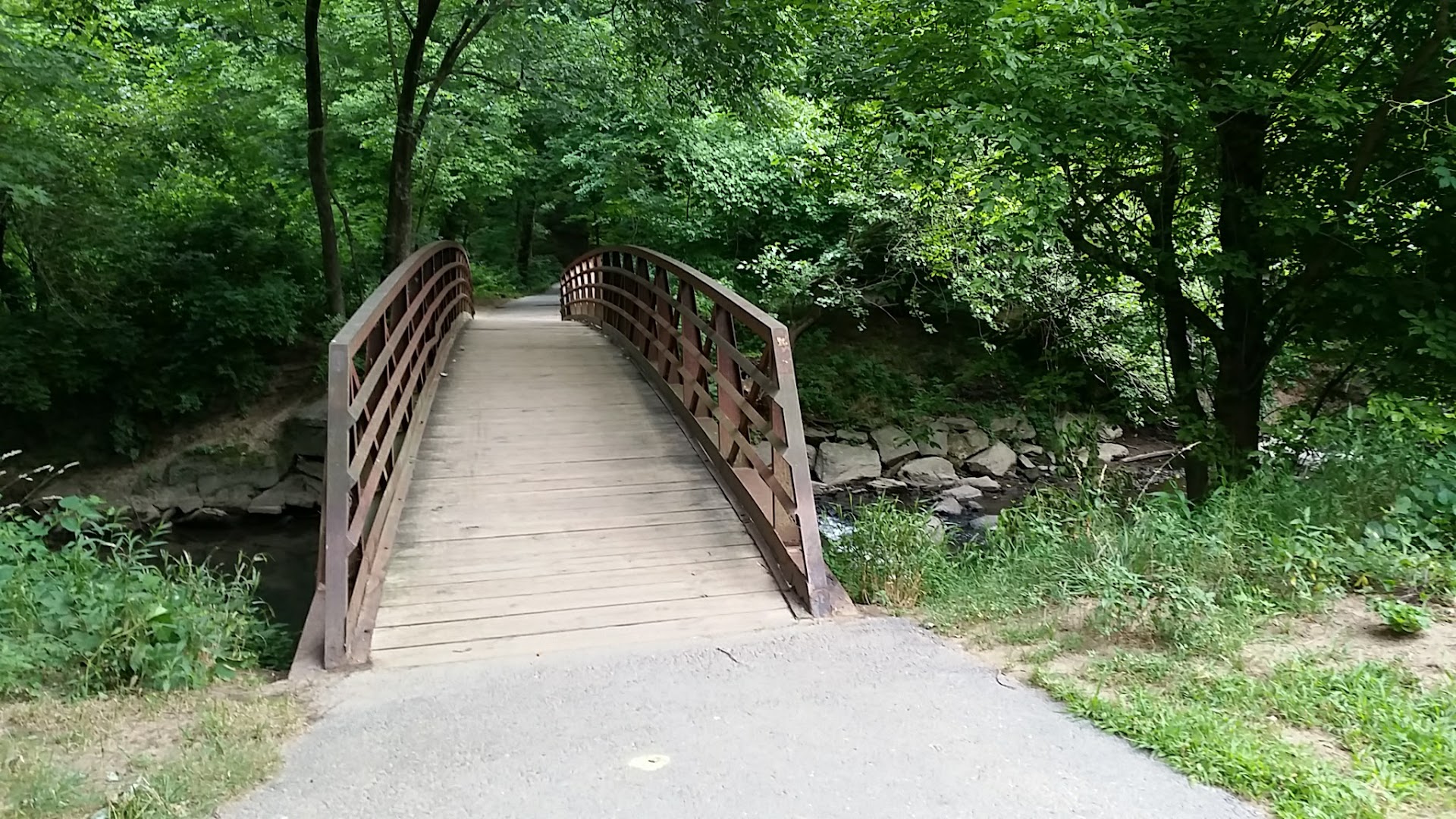 Jones Mill Road Park Playground photo 3