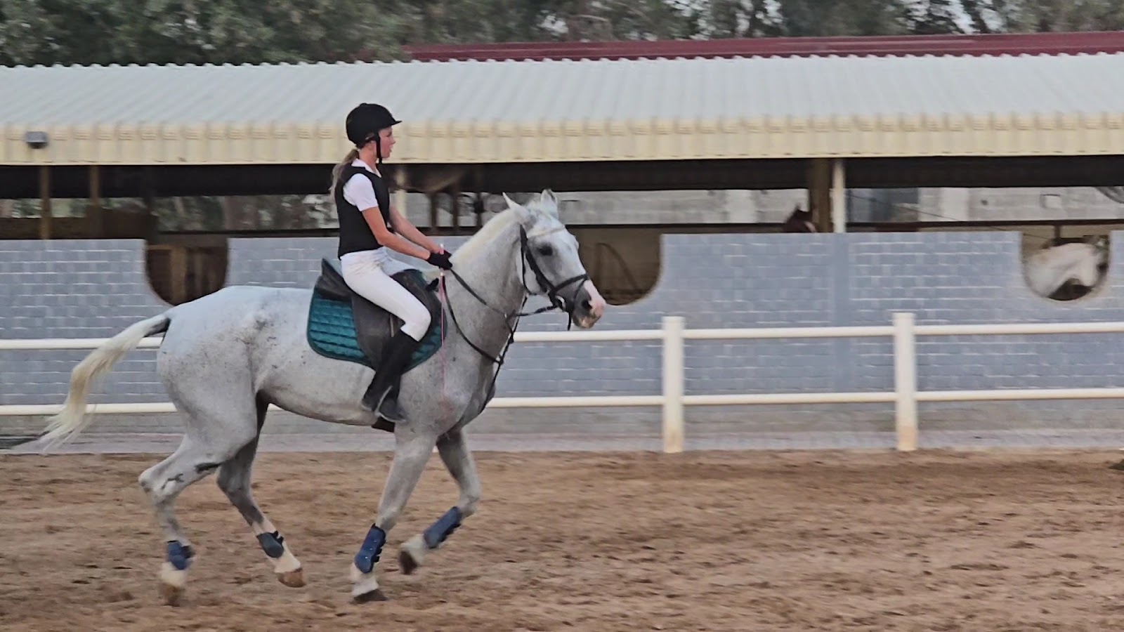 JSR EQUESTRIAN CLUB photo 3