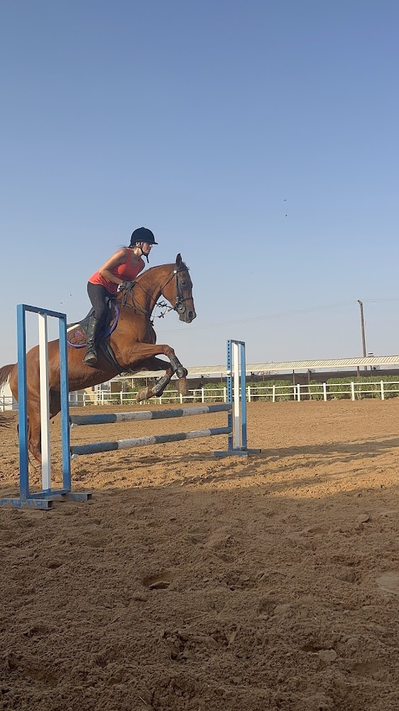 JSR EQUESTRIAN CLUB photo 5