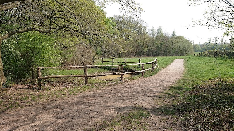 Jubilee Country Park photo 2