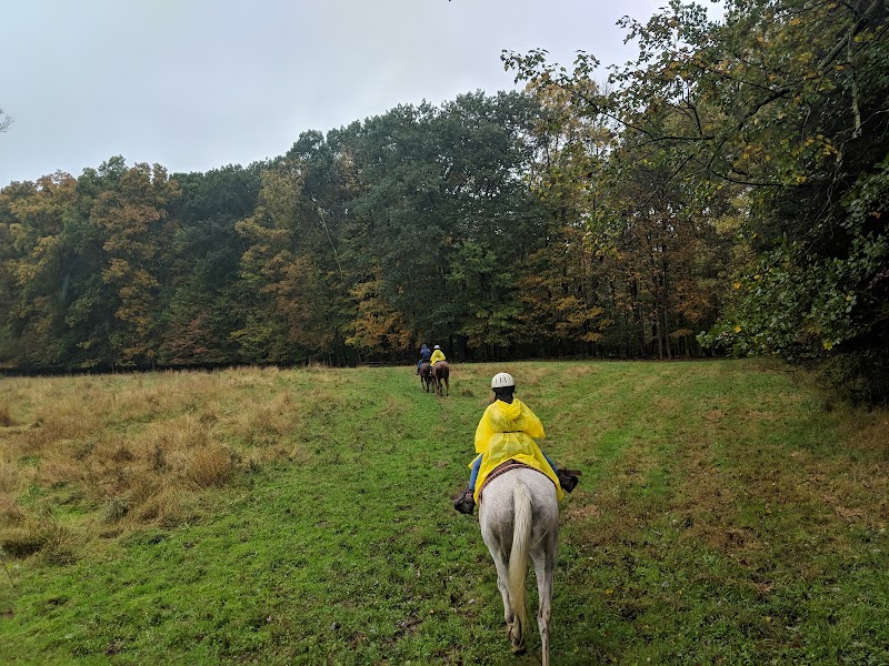 Photo of Juckas Riding Stables, Inc. in New York