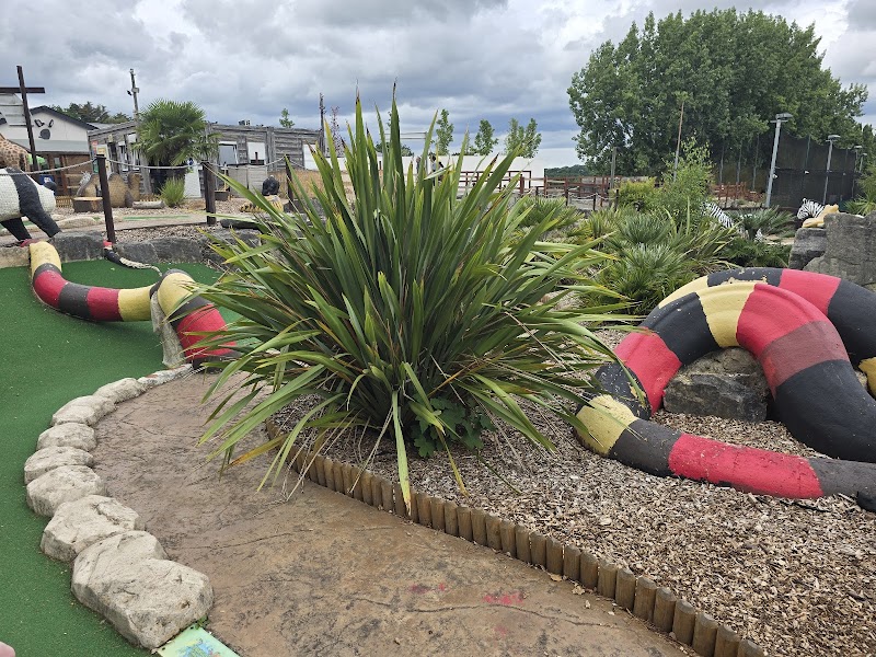 Jungle Falls Adventure Golf photo 3