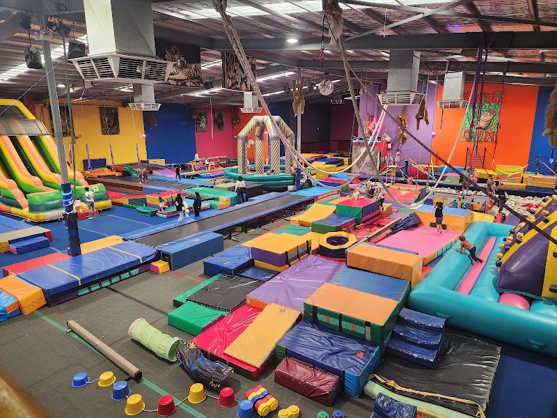 Jungle Gym