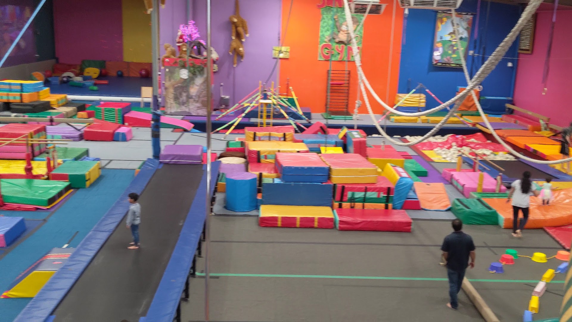 Jungle Gym photo 3