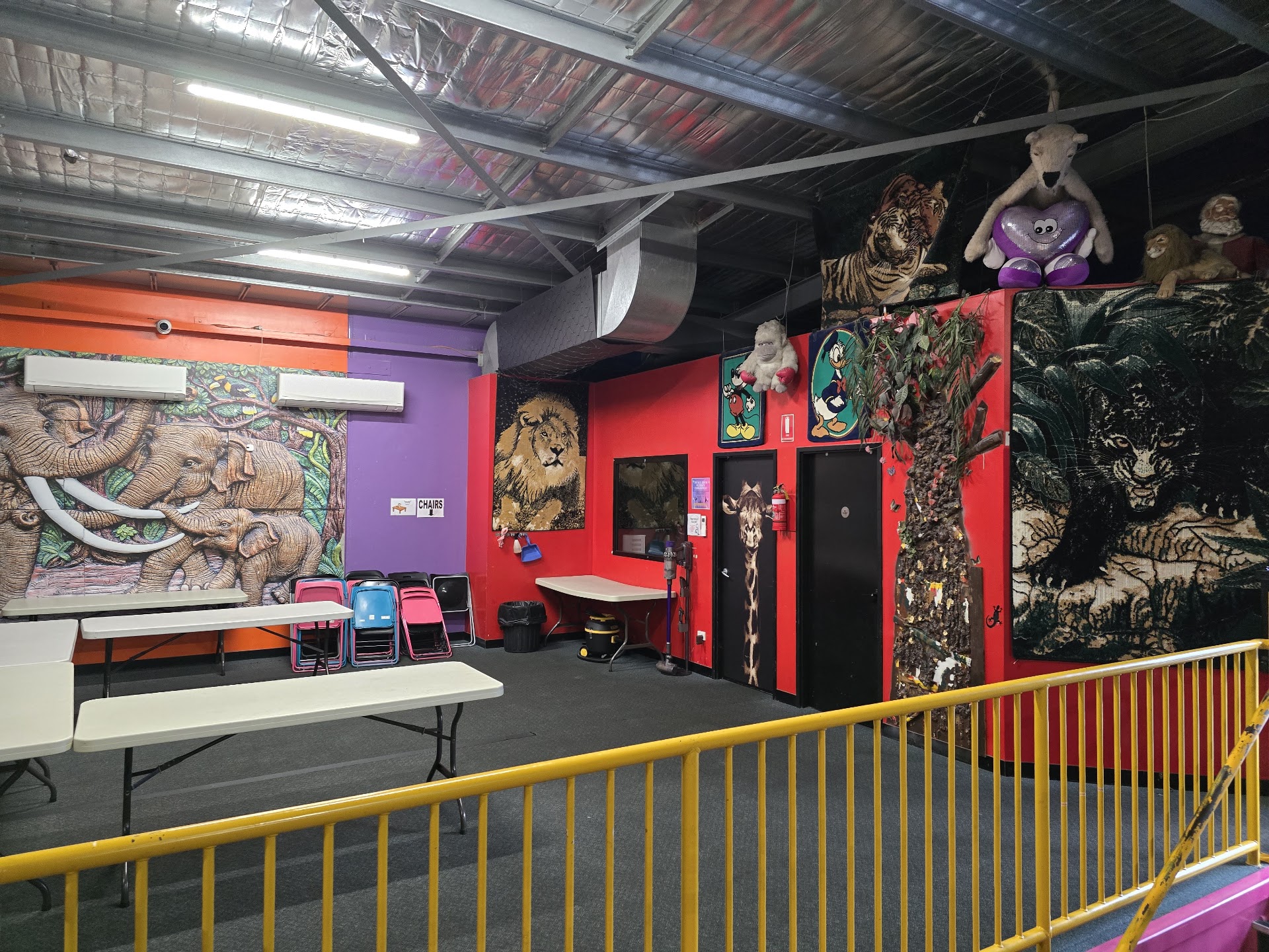 Jungle Gym photo 2