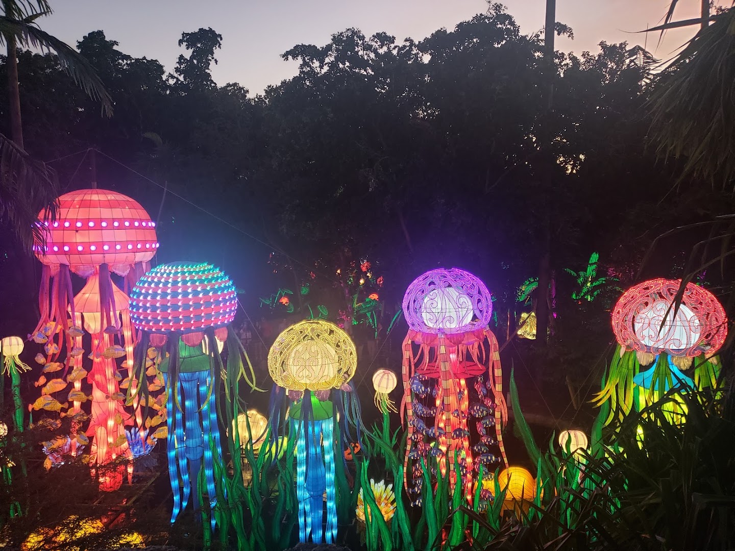Jungle Island photo 2