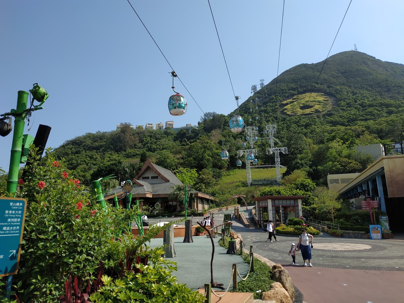 Jungle of Giants photo 5