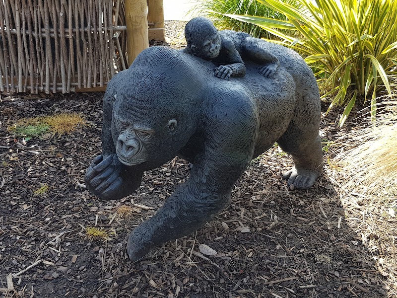 Jungle Safari Adventure Golf