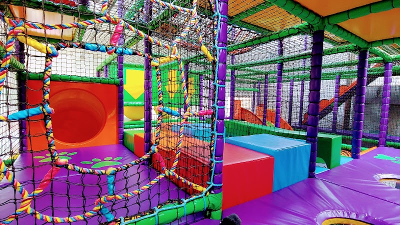 Junglecatz Soft Play photo 2