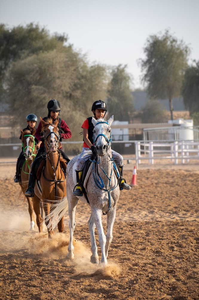 Kaber Stables photo 4