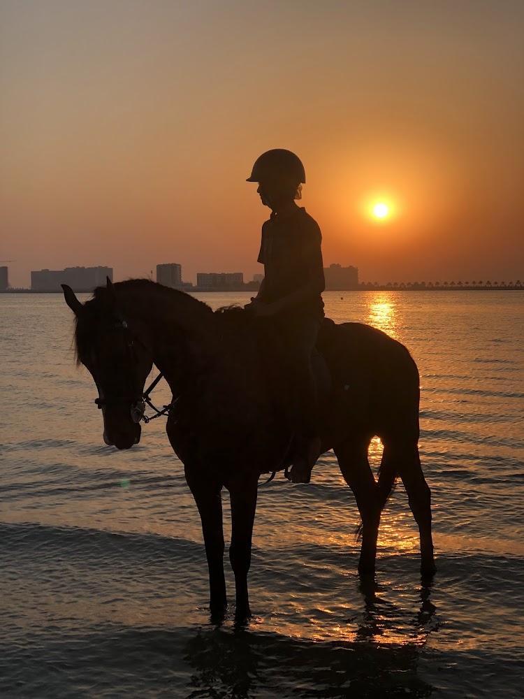 Kaber Stables photo 5