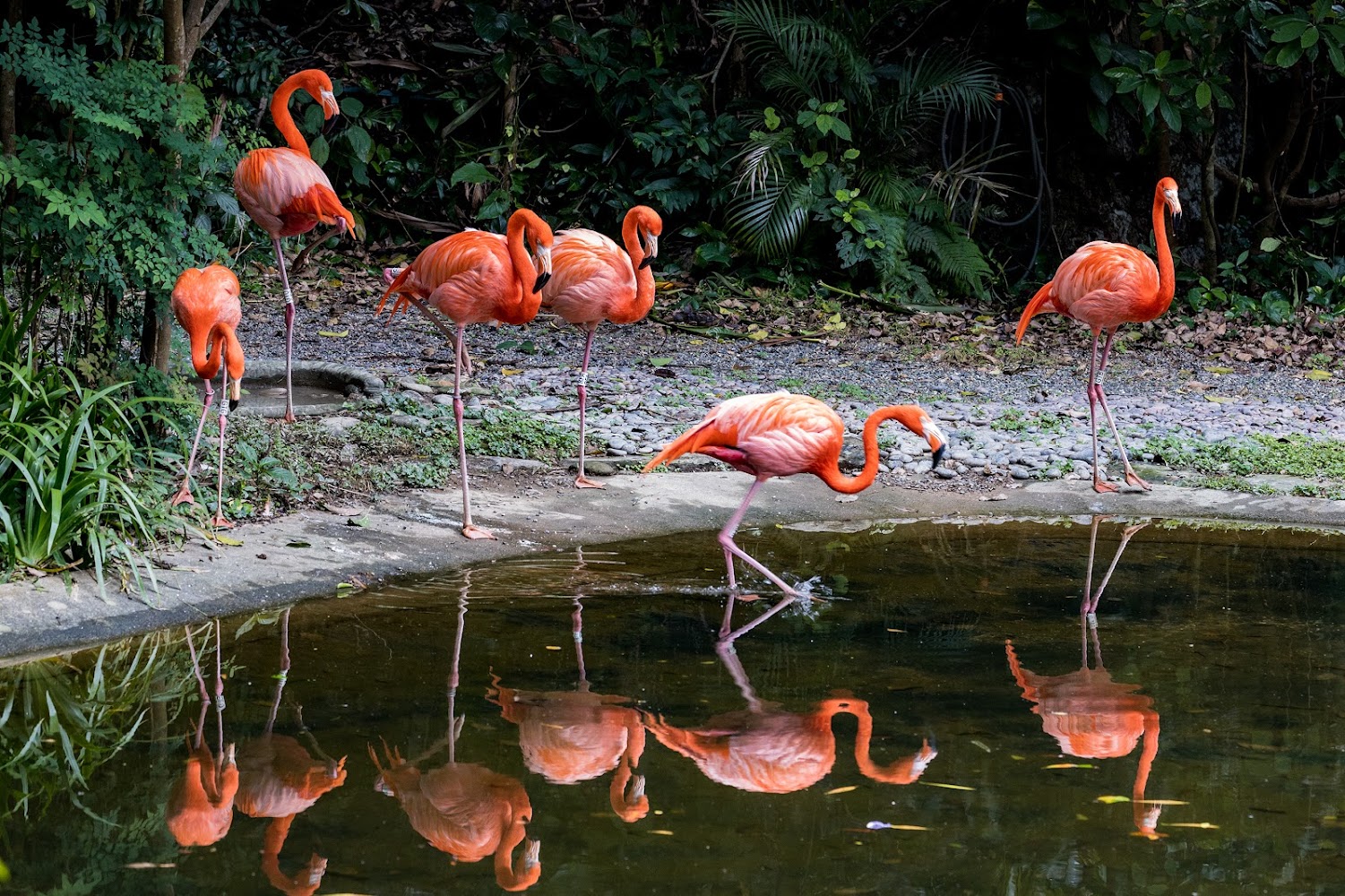 Kadoorie Farm and Botanic Garden photo 4