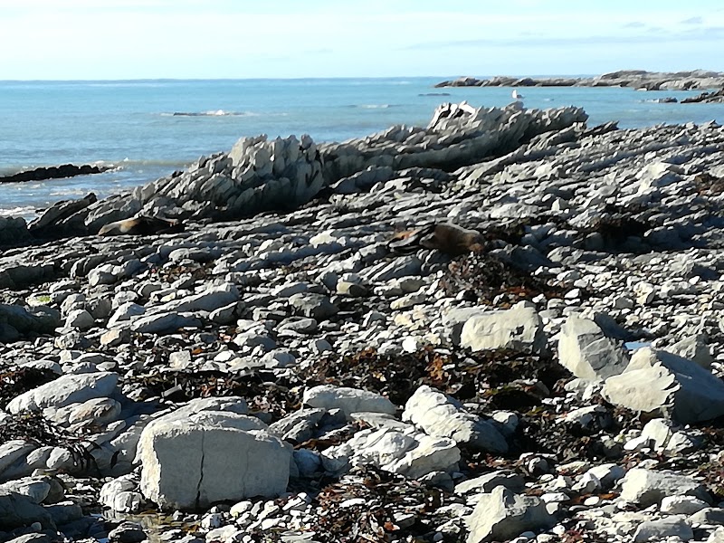 Kaikoura Reserve photo 2