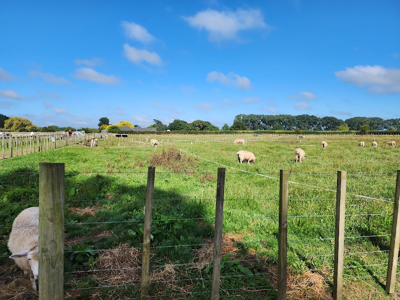 Kaipaki Farmyard