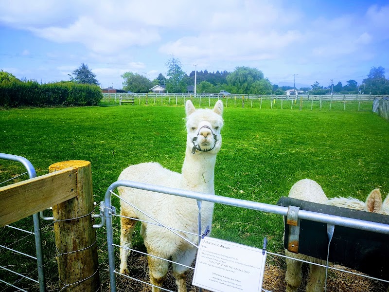 Kaipaki Farmyard photo 2