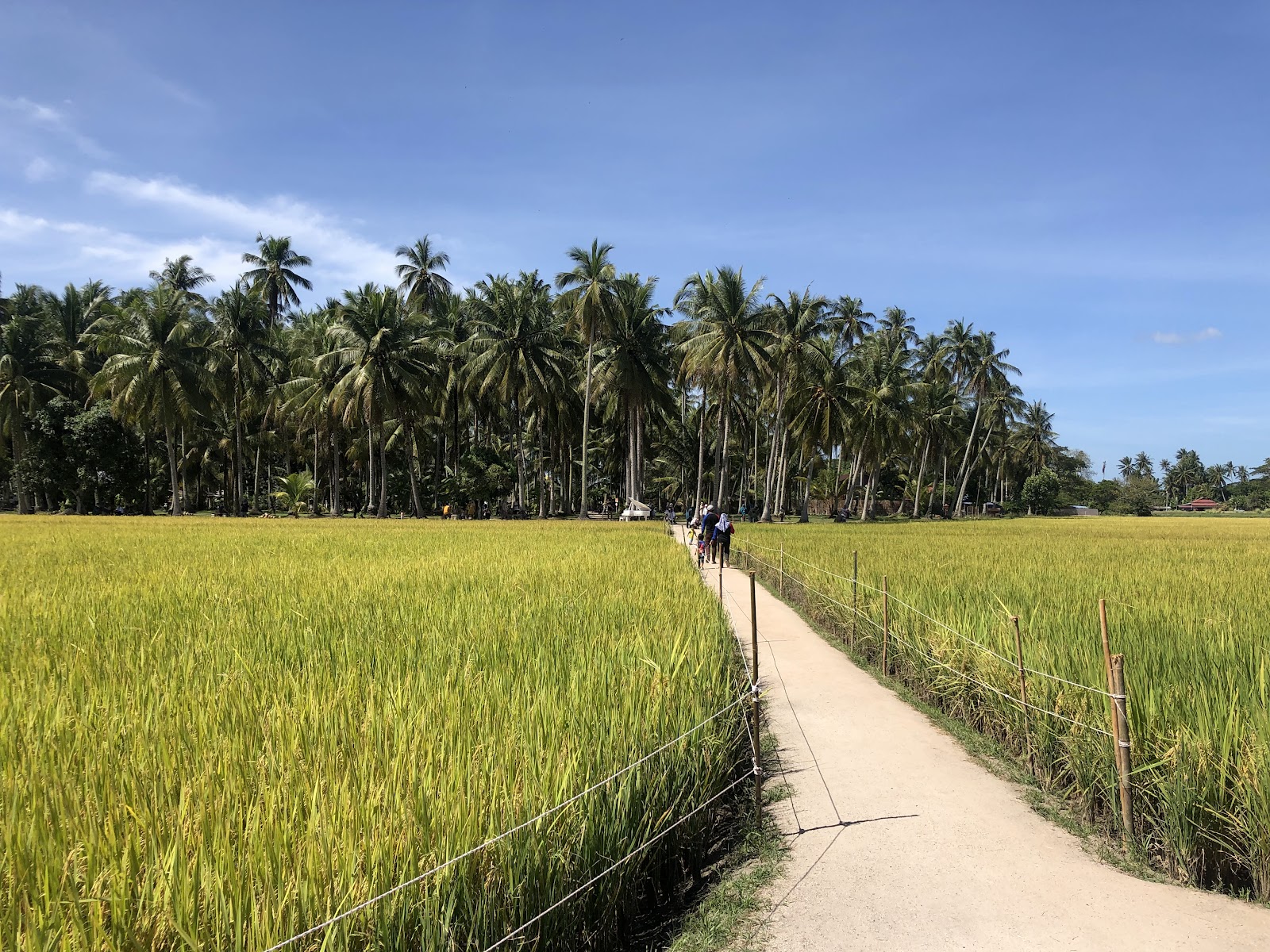 Kampung Agong photo 2
