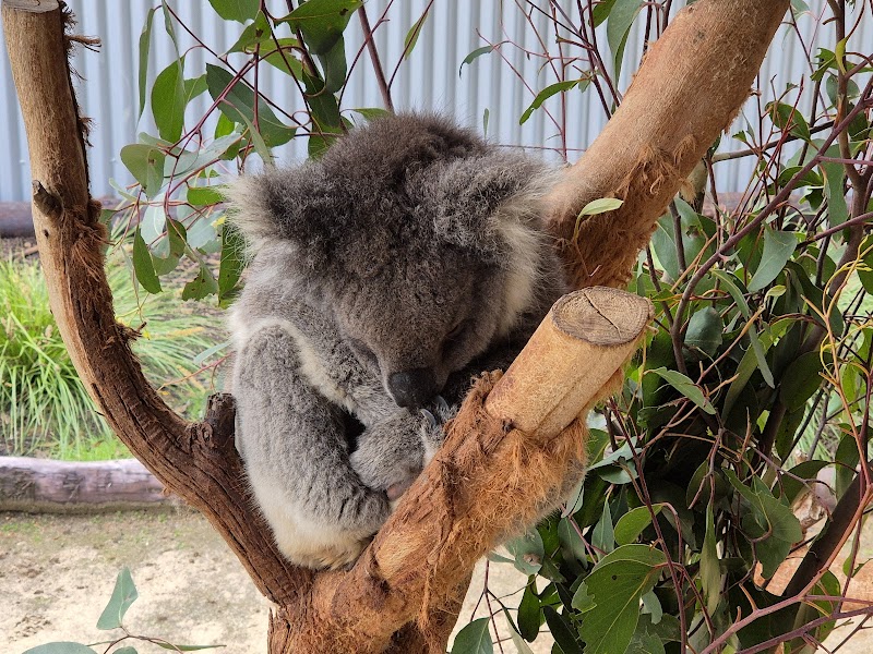 Kangaroo Island Wildlife Park photo 2