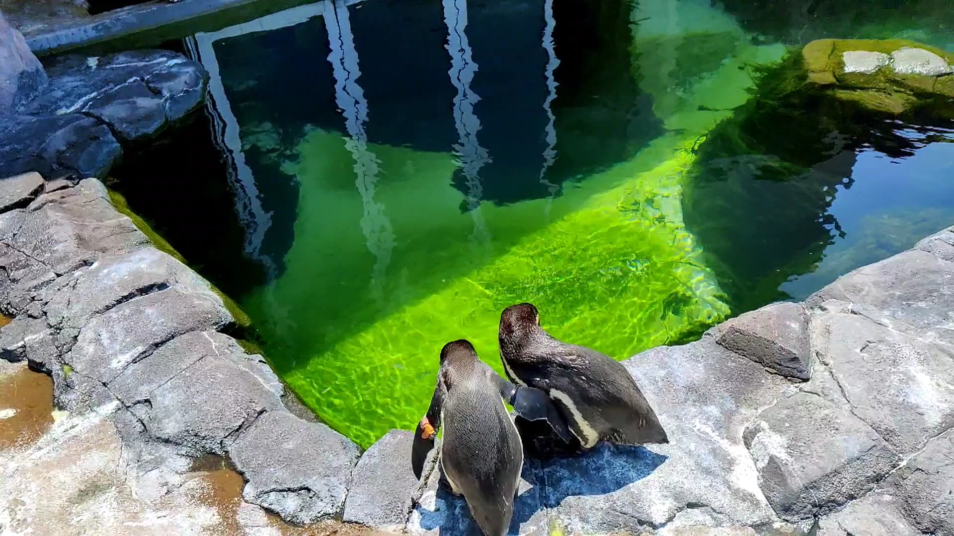 Kansas City Zoo & Aquarium photo 2
