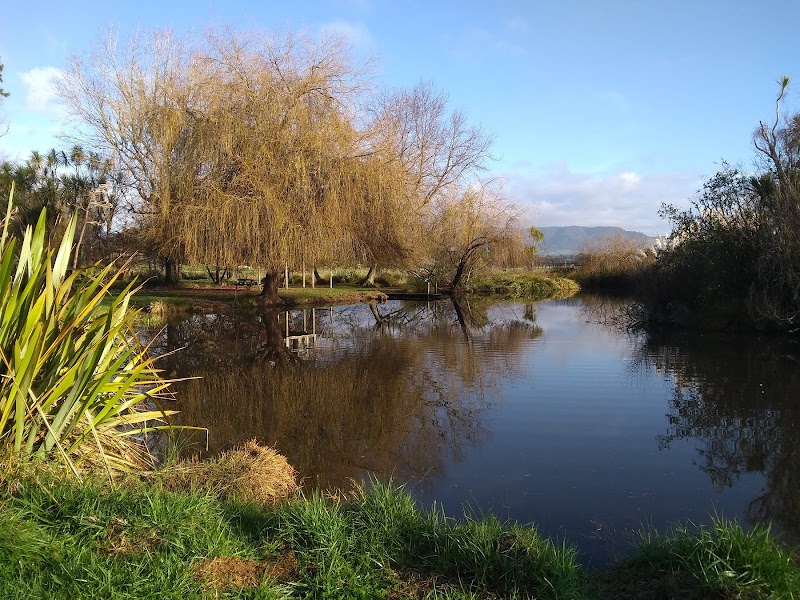 Katikati Bird Gardens photo 2