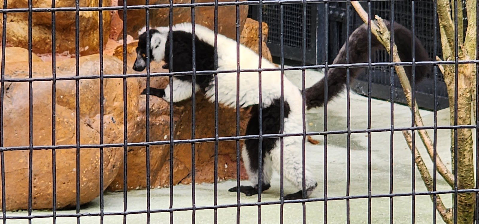 Kau U Fong Children's Playground photo 5