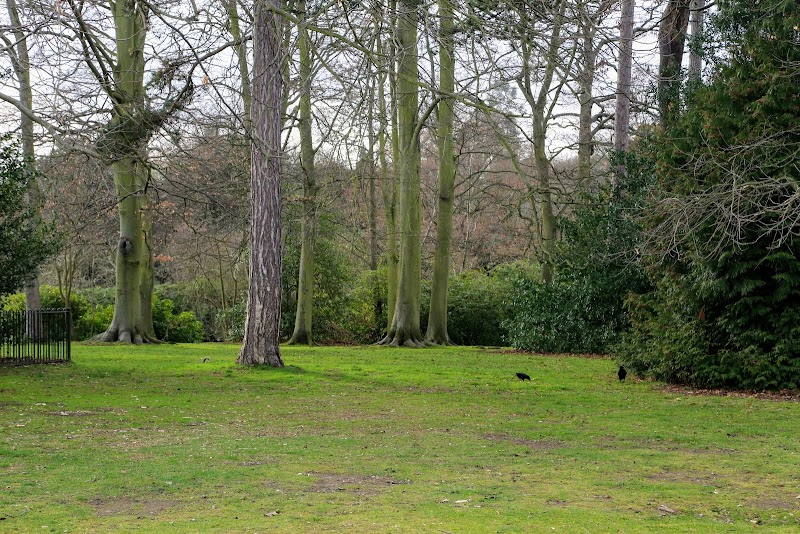 Kelsey Park Playground photo 2