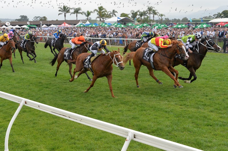 Kembla Grange Racecourse