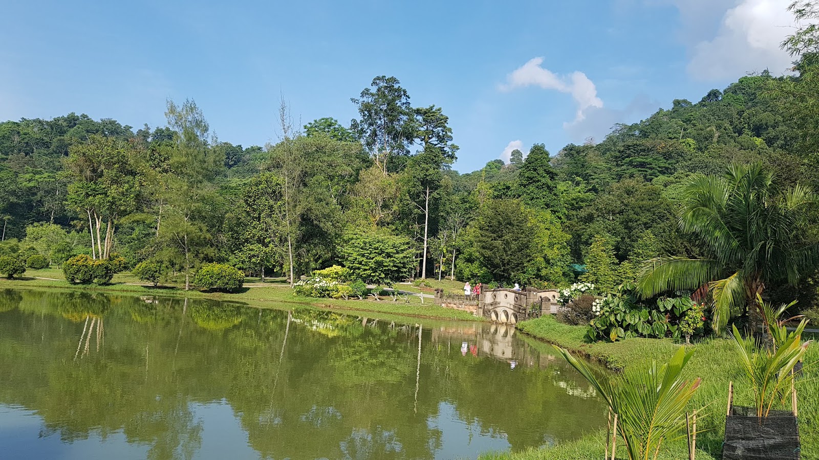 Kepong Botanic Gardens | FRIM - Forest Research Institute Malaysia photo 2