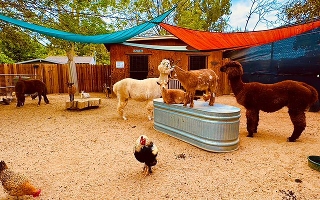 Kfar Saba Urban Farm