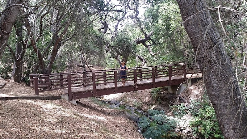 Kids Adventure Garden