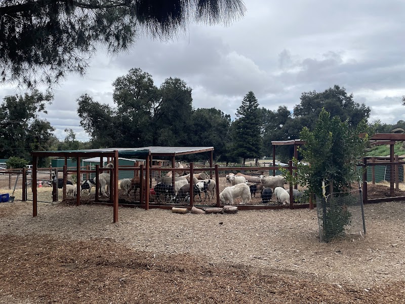 Kindred Spirits Care Farm