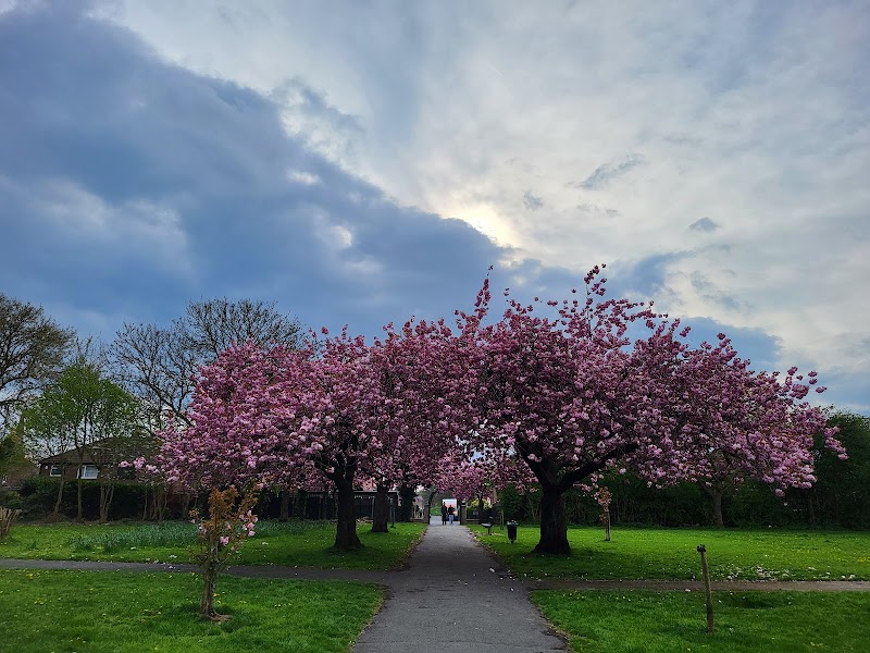 King George V Park photo 2