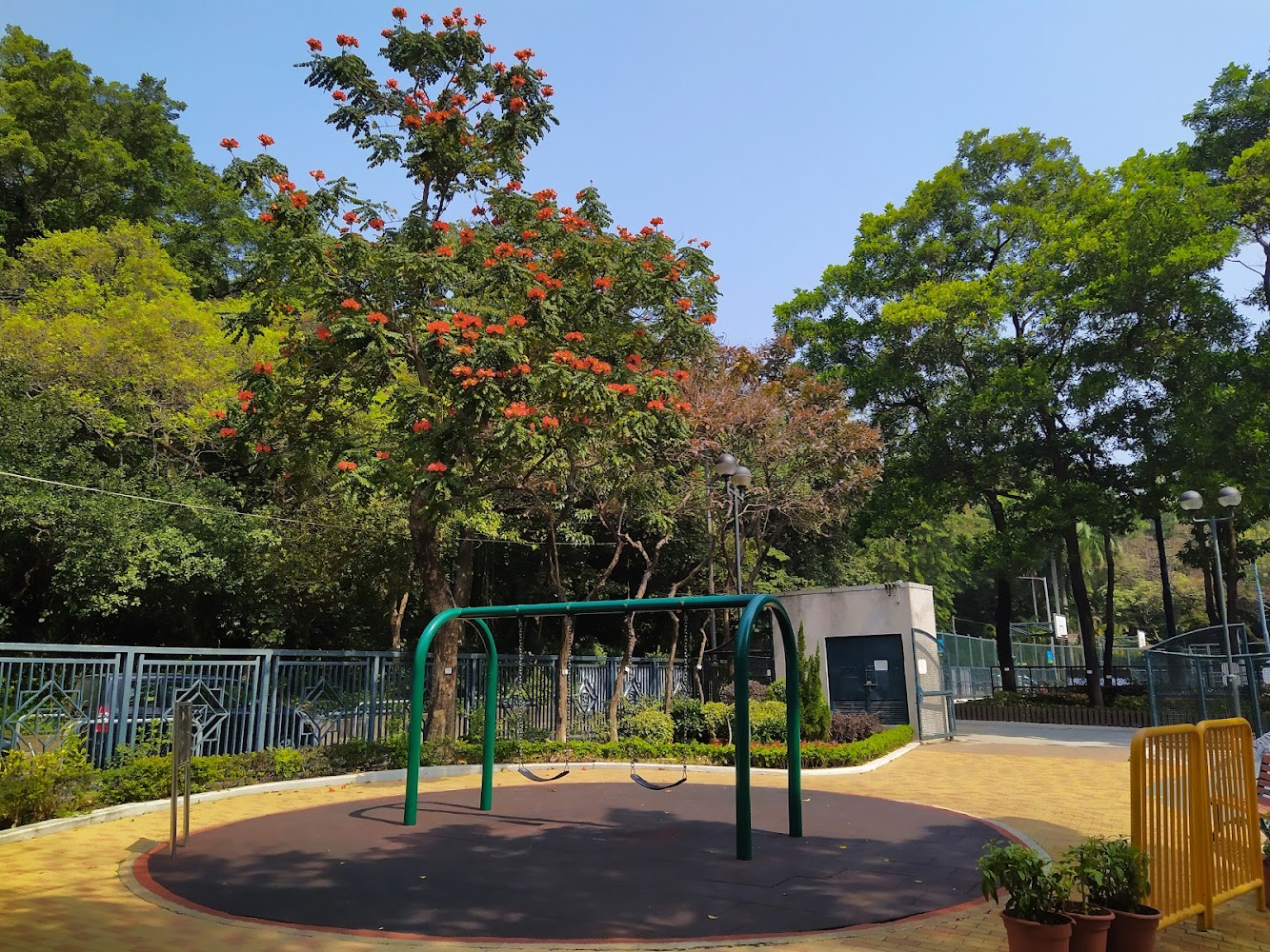 King's Park Recreation Ground photo 5