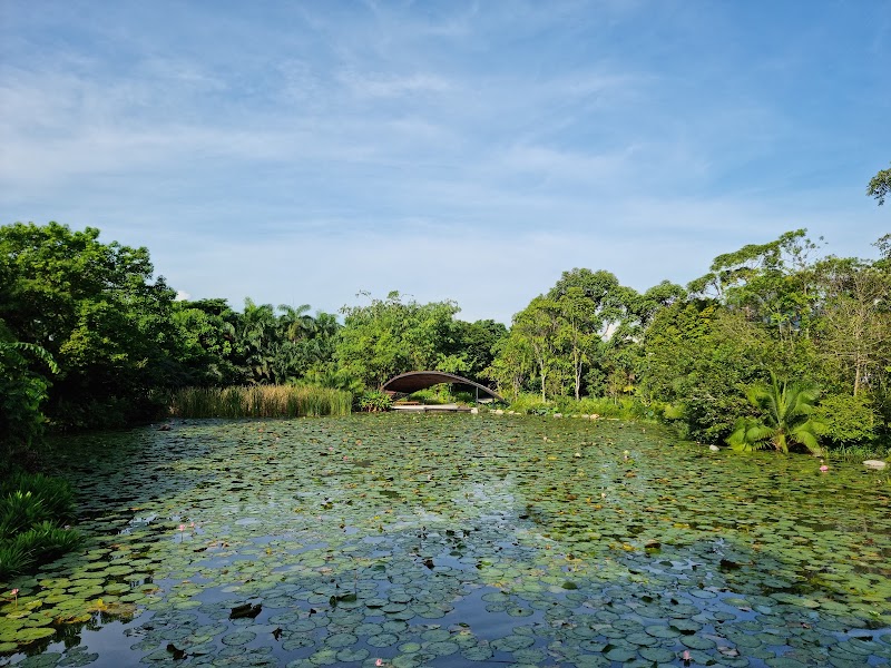 Kingfisher Wetlands Wildlife Lookout photo 2