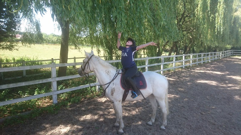 Kings Oak Equestrian Centre photo 2