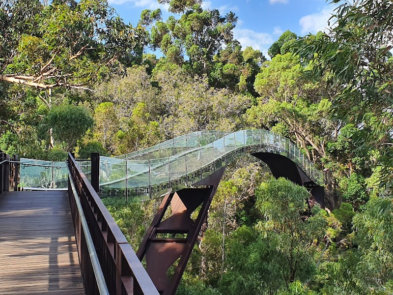 Kings Park and Botanic Garden photo 3