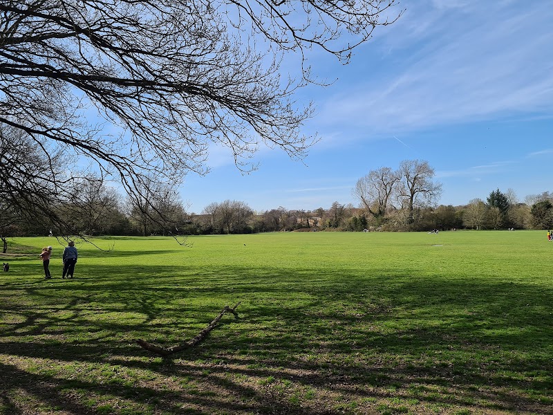 Knowle Park